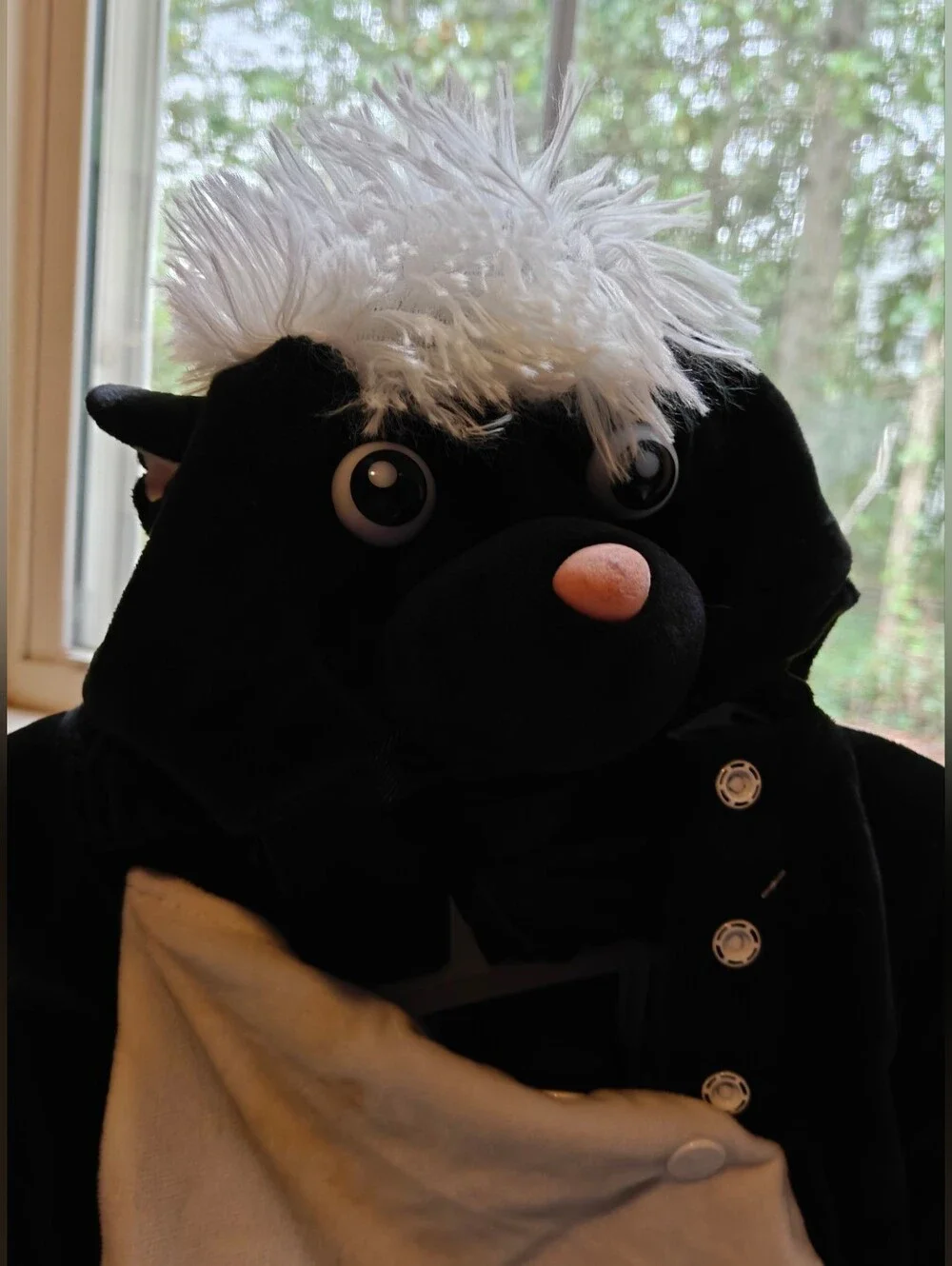 Plush Skunk Costume